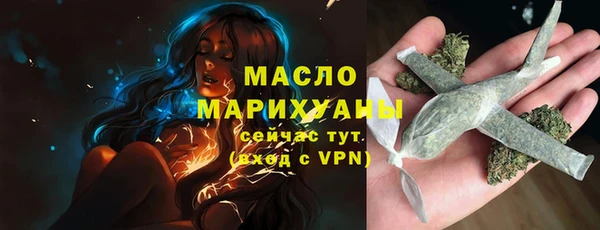 крисы Мегион