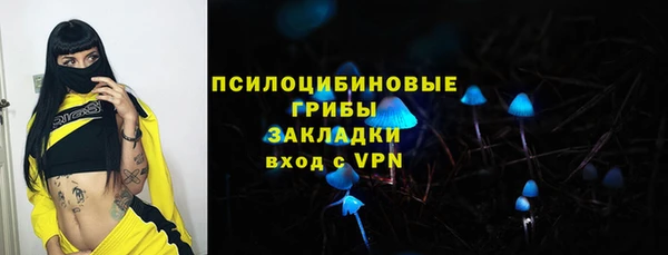 сатива Медвежьегорск