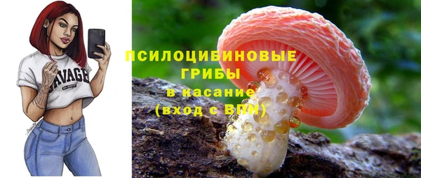 крисы Мегион