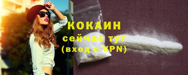 крисы Мегион