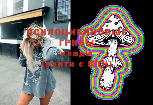 сатива Медвежьегорск