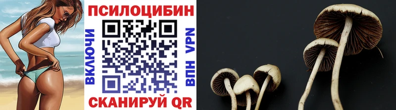 даркнет сайт Тейково ссылка на мегу сайт нарко площадка наркотические препараты Галлюциногенные грибы мицелий