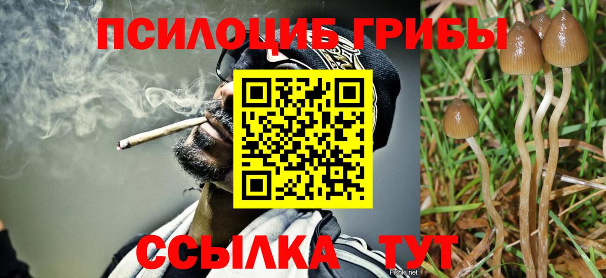 Галлюциногенные грибы Psilocybine cubensis  Вход с VPN  Тейково  Псилоцибиновые грибы Psilocybine cubensis 