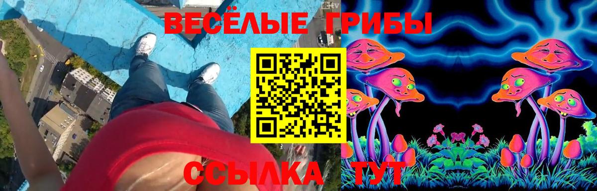 Галлюциногенные грибы GOLDEN TEACHER Тейково